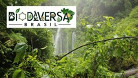 Announcement for scholarship recipients to work on the BiodiversaBrasil Project: Applications will be accepted until May 19