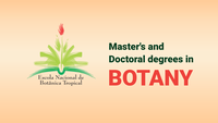 Applications open for master's and doctoral degrees in Botany at the Rio de Janeiro Botanical Garden