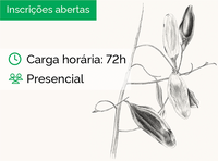 Botanical illustration - graphite and ink