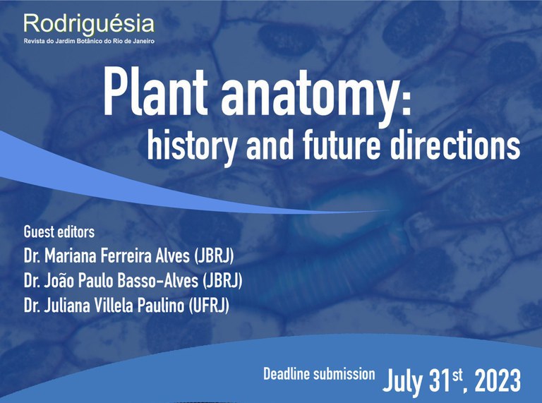 Rodriguesia especial Plant anatomy.jpeg