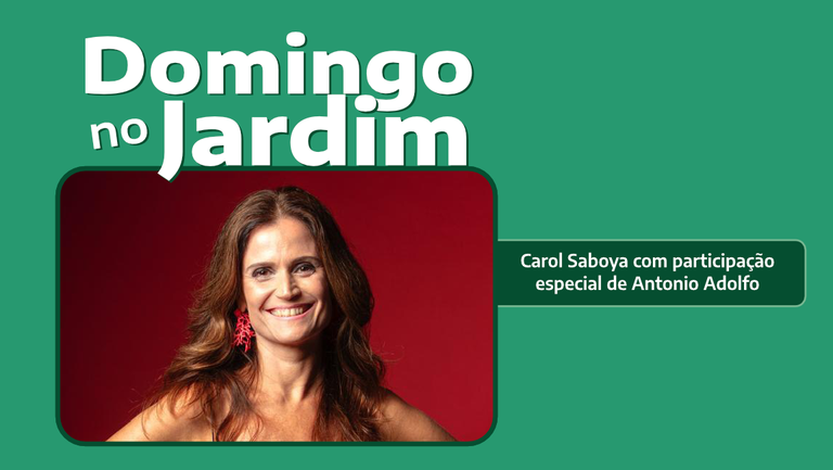 banner_domingo_Carol saboya.png