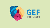 CNCFlora: applications open for scholarships under the GEF Terrestrial Project