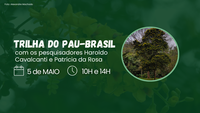Endangered brazilwood is the subject of a guided trail in Rio's Botanical Garden