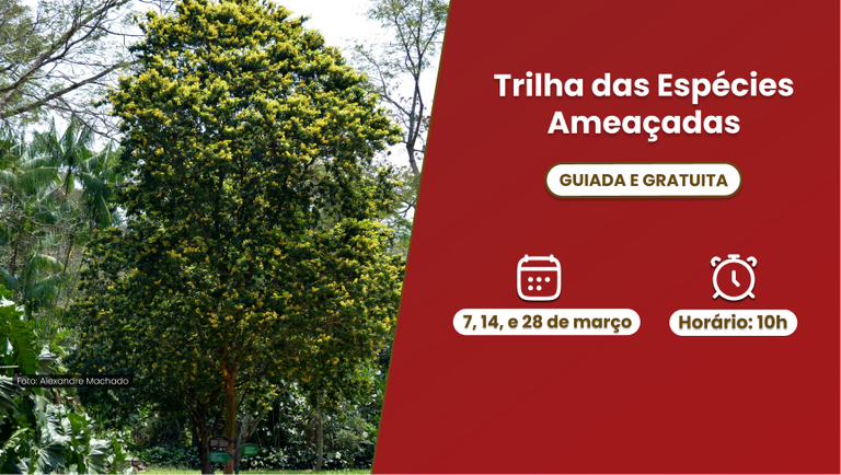 Trilha das especies ameaçadas 2025.png