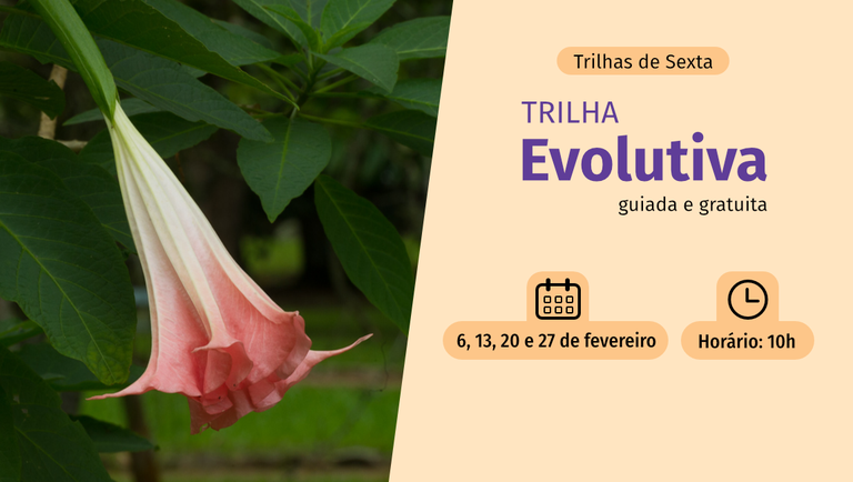 banner trilha evolutiva 2026.png