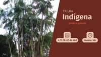 Indigenous Trail is the highlight of April at the Rio Botanical Garden