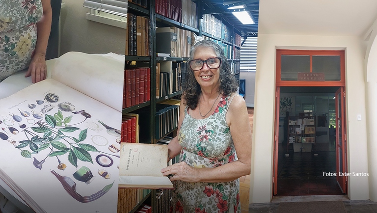 BANNER SITE-12-de-março---Dia-do-Bibliotecário-v1.png