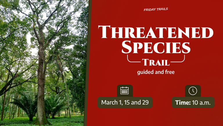 BANNER SITE - trilha espécies ameaçadas - ENG - v2.png