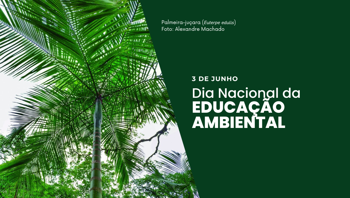 Rio Botanical Garden has special program for National Environmental Awareness Day