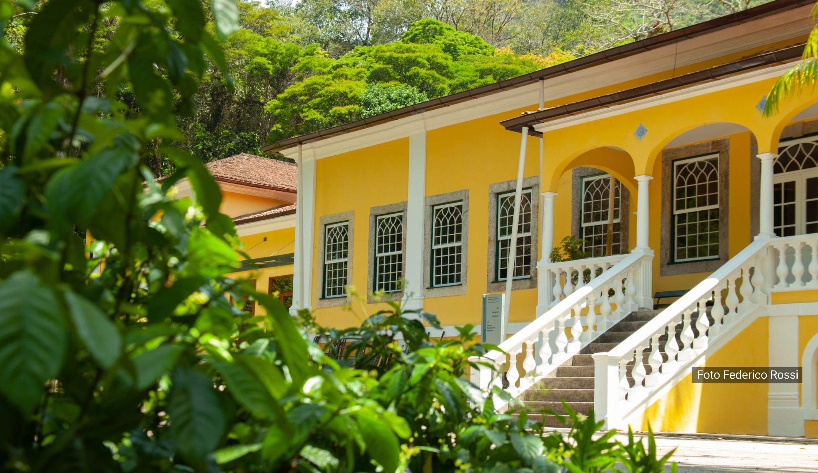 Rio de Janeiro Botanical Garden selects post-doctoral fellow