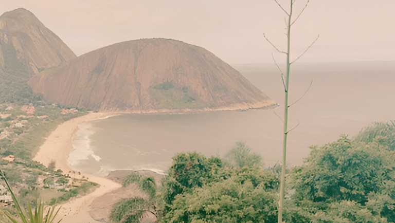 banner Rodriguesia especial medicinais.png