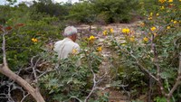 Second documentary shows CNCFlora scientific expedition to Caatinga to investigate endangered flora and promote conservation actions