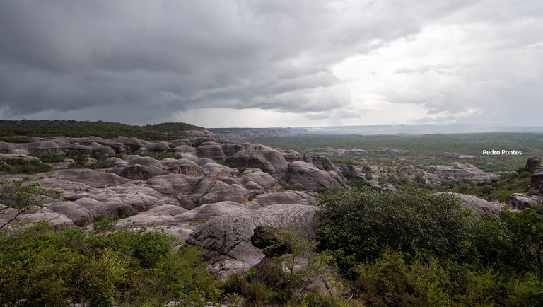 Serra das Confusões National Park has Its Flora list published
