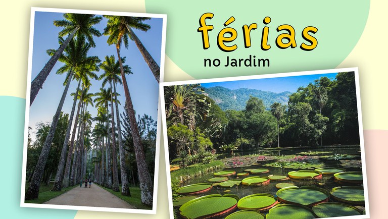 ferias banner site.jpg