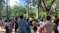 The Rio Botanical Garden is promoting a Brazilwood Walk on May 4th