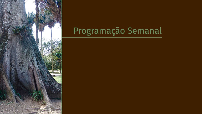 banner_programacao_semanal (1).jpg