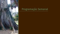 Weekly Program – September 4 to 7