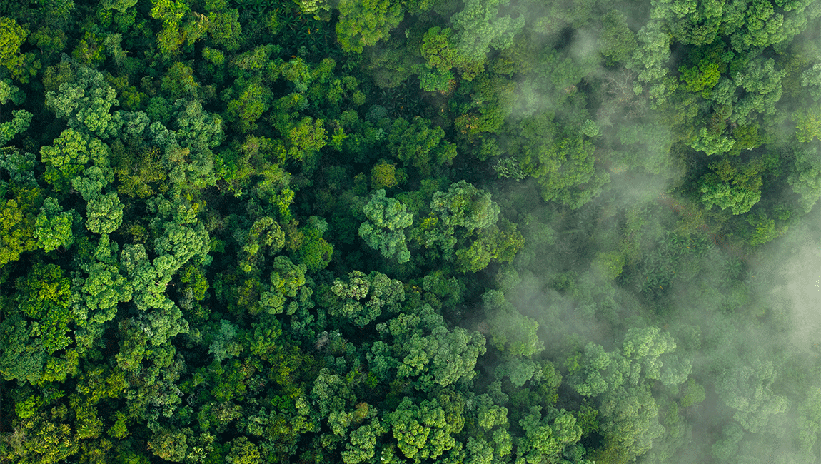 Relatório "10 New Insights" sinaliza ameaças climáticas crescentes e caminhos para ação