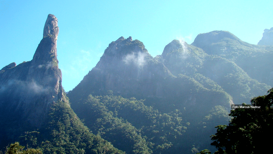 Parque Nacional da Serra dos Órgãos é a área protegida com maior riqueza de flora conhecida no Brasil, aponta estudo