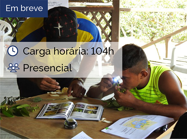 Parabotânica na Amazônia