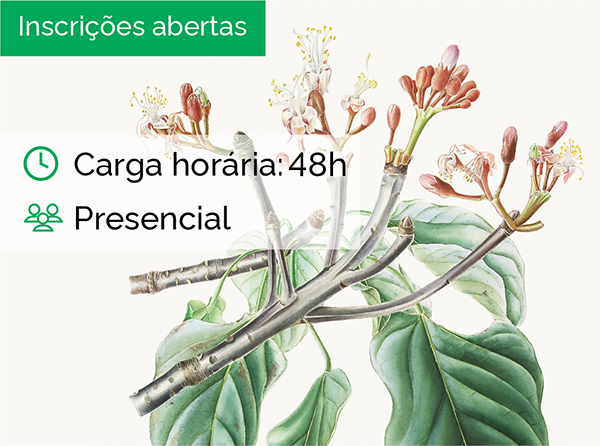 Curso de Ilustração Botânica: Aquarela