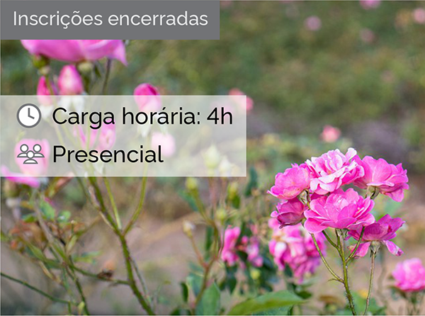 Rosas: noções gerais e cultivo