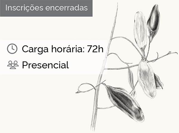 Ilustração Botânica - grafite e nanquim