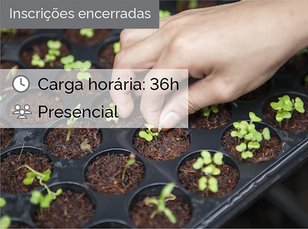 Ecojardinagem