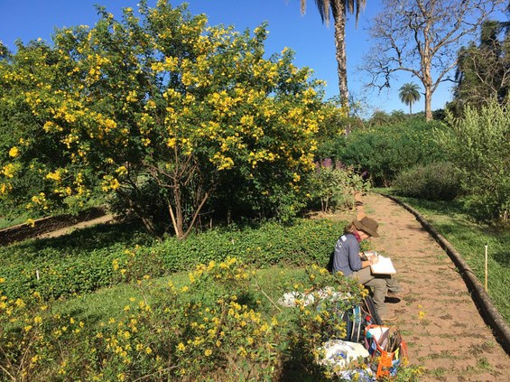 WhatsApp Image 2025-09-22 at 13.09.37.jpeg