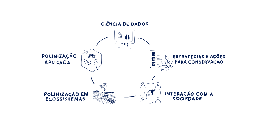 ilustracao_eixos