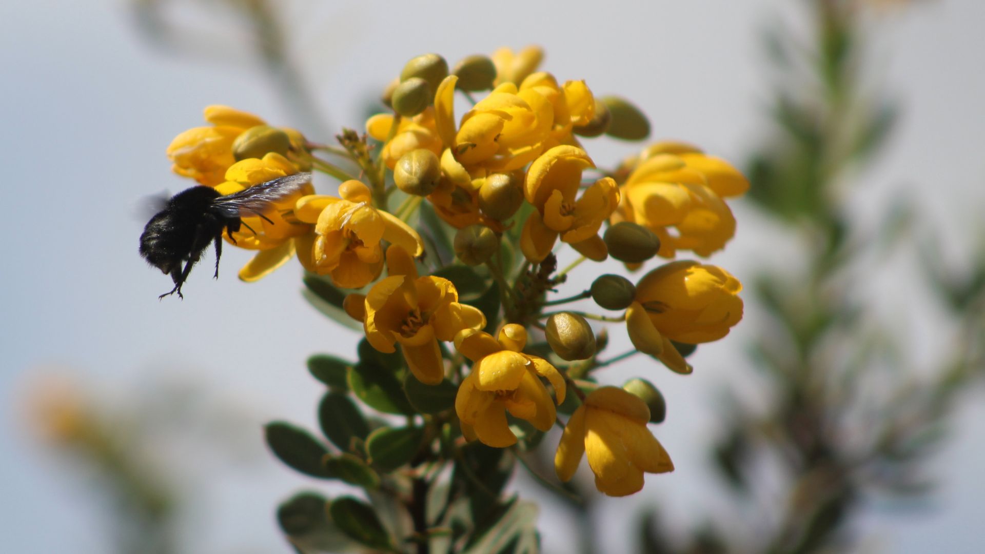 Estudo sobre desempenho masculino e feminino