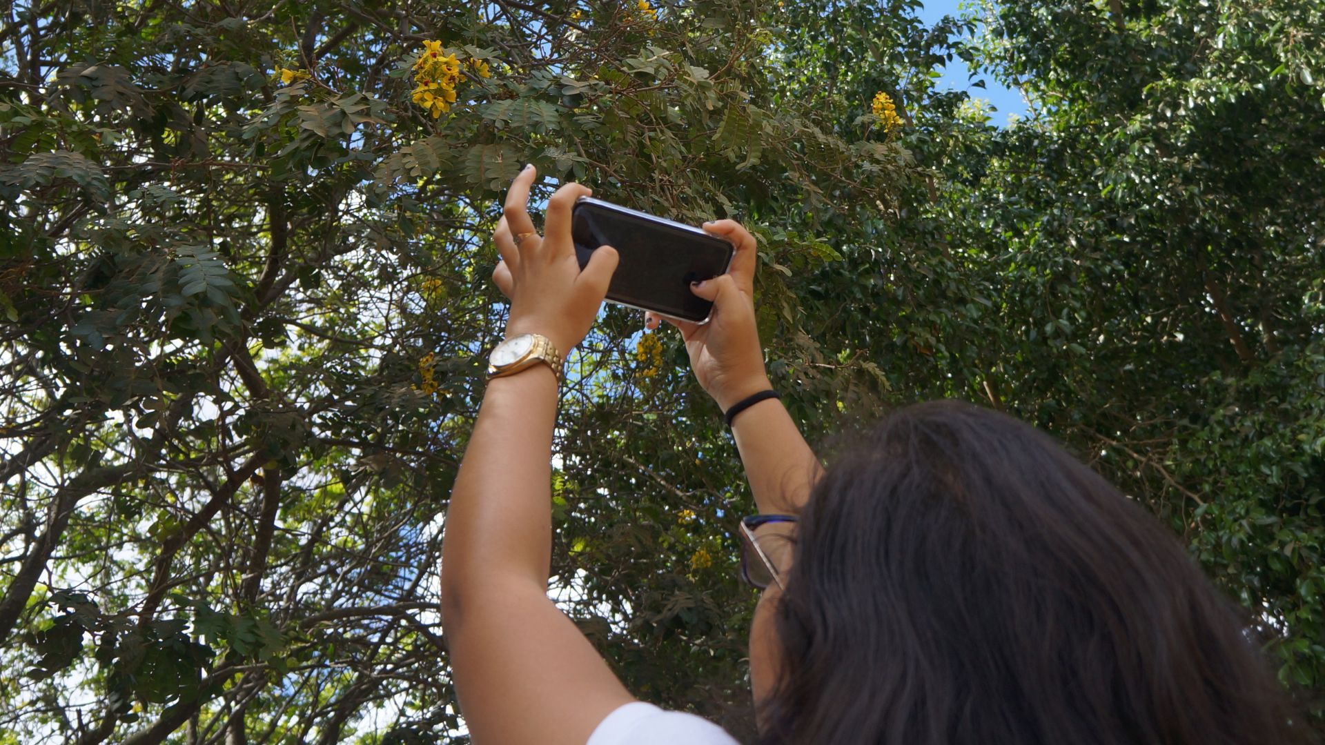 Iniciativa de monitoramento participativo no sertão de Sergipe