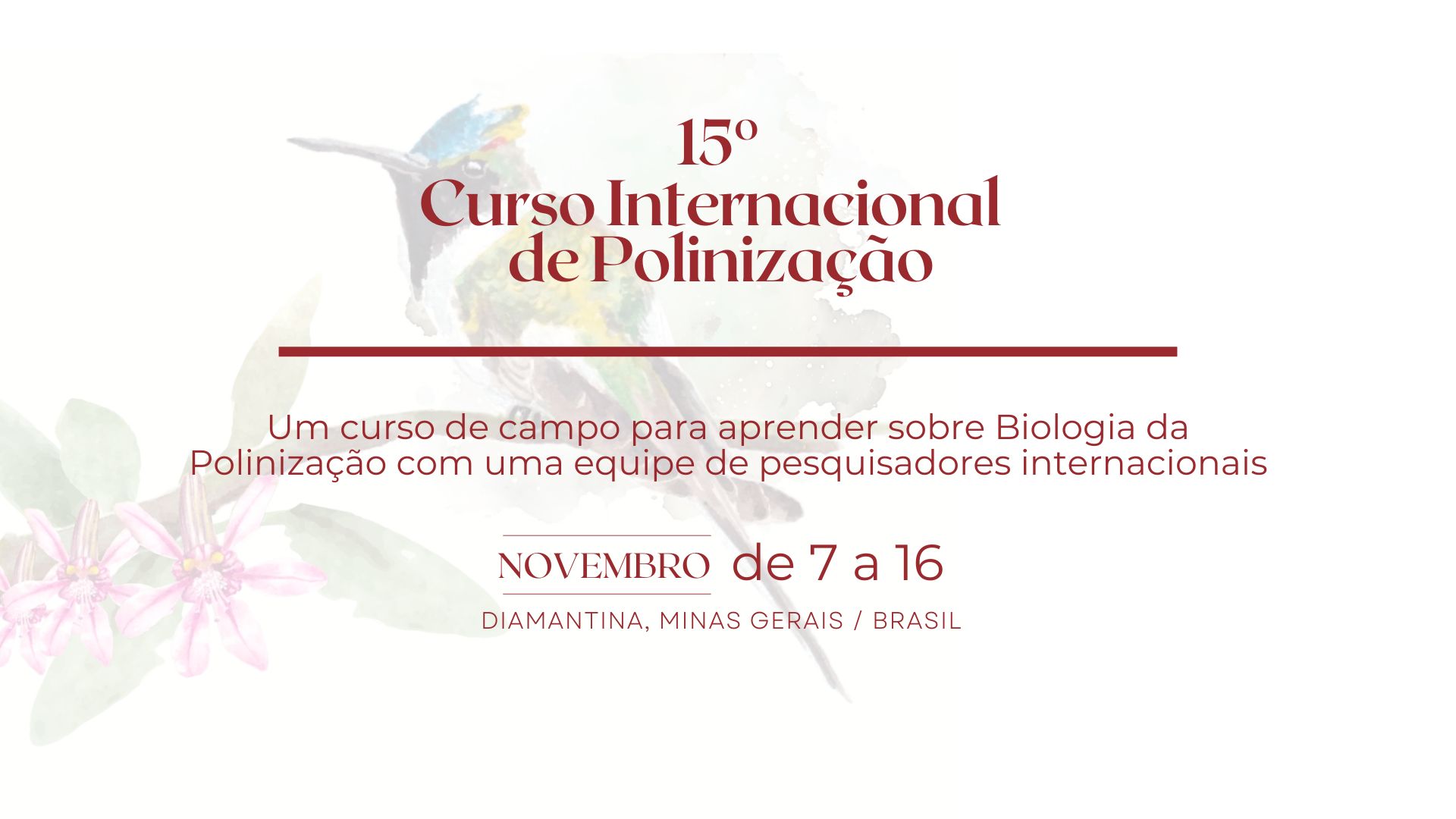 capa_site_15_curso_internacional