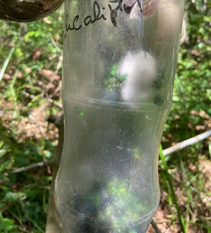 WhatsApp Image 2025-09-29 at 09.54.46.jpeg