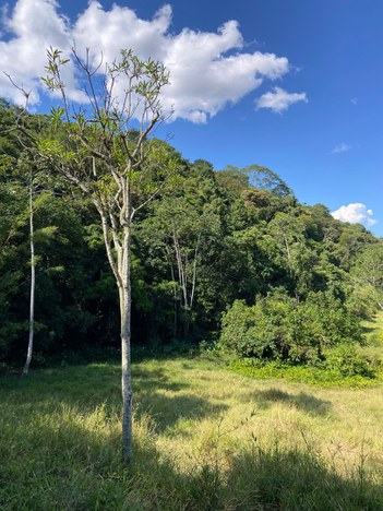 WhatsApp Image 2025-09-29 at 09.54.50.jpeg