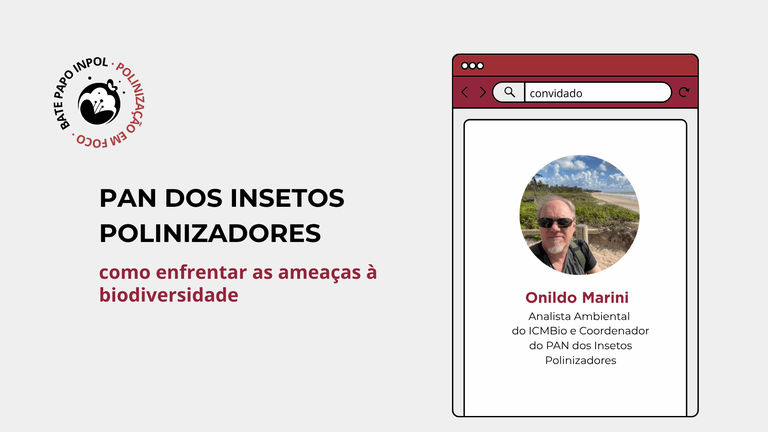 Bate Papo INPol, com Onildo Marini: PAN dos Insetos Polinizadores.