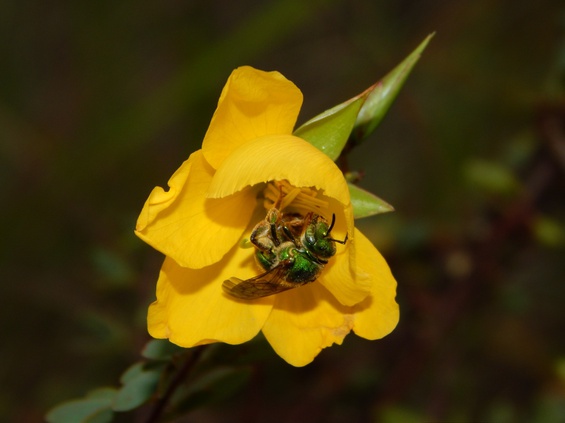 DSCN3035.JPG
