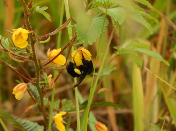 DSCN3808.JPG