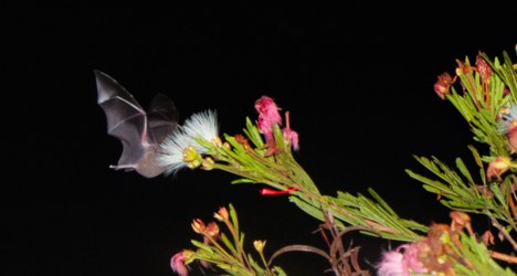 WhatsApp Image 2025-10-22 at 15.54.54.jpeg