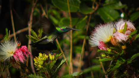 WhatsApp Image 2025-10-22 at 15.54.55.jpeg