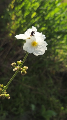 5b85c7b3-41fd-466f-b5c9-f33bf5a26a0a.jpg