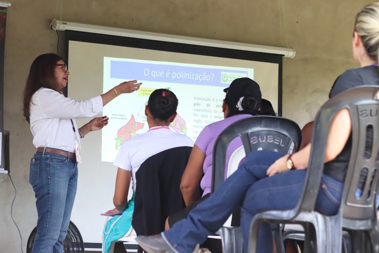 PARAGOMINAS_Meliponicultura_1