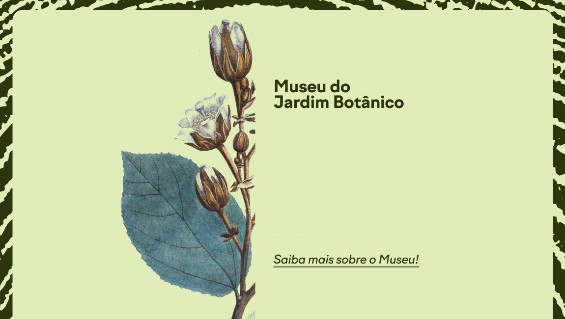 Sobre o museu.jpg