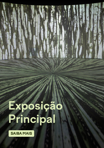 Exposições.jpg
