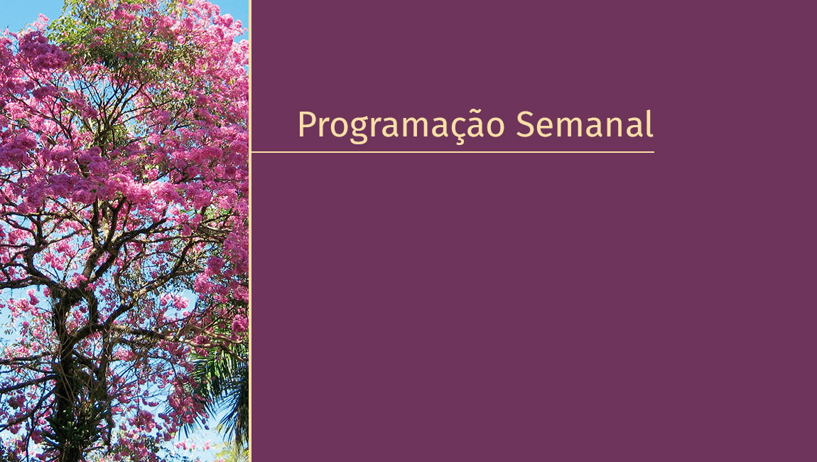 Programação Semanal - 13 a 16 de agosto
