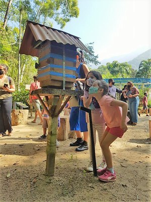 Manha abelhas sem ferrao JBRJ Foto Felipe Reboucas.jpg