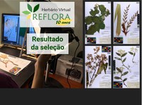 Aprovados na seleção para Bolsa Sanduíche no Exterior (SWE) – CNPq/Reflora