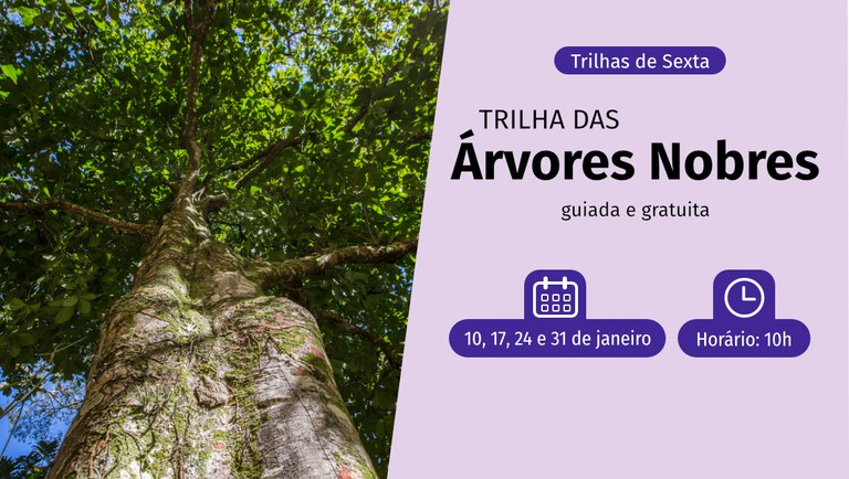 banner trilha das árvores nobres 2025