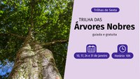 Árvores nobres são a atração das Trilhas de Sexta em janeiro
