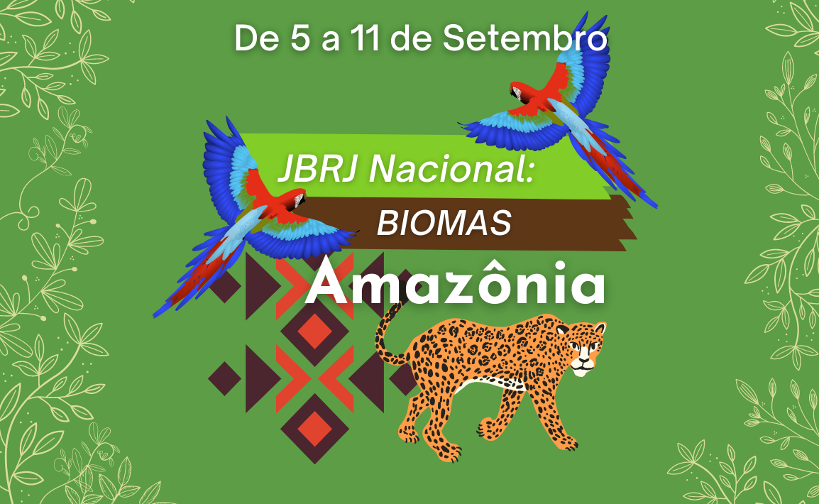 Vídeos retratam a diversidade dos 6 Biomas Brasileiros - Guia do